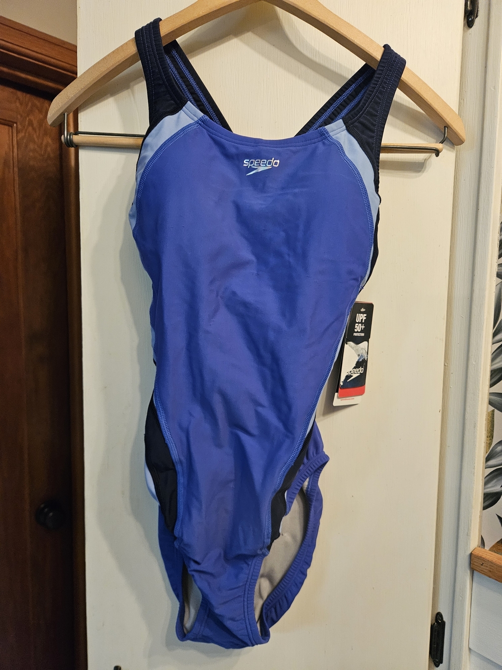 Speedo Royal and Navy Blue Athletic One-Piece Swimsuit